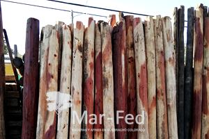 Postes redondos de quebracho, producto de Mar-Fed